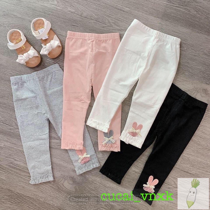 QD17 SET 4 QUẦN cotton len đính thỏ 4 màu - CÓ ẢNH THẬT