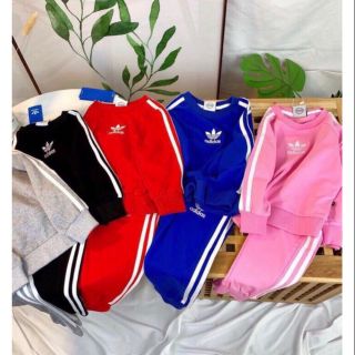 Combo sỉ bộ das