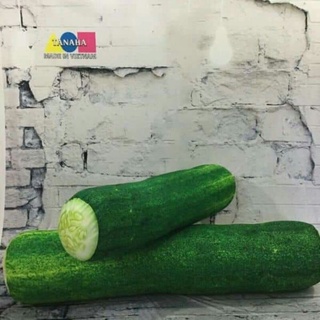 Gối ôm dưa leo ,coca ,Pepsi ,khúc gỗ 70cm