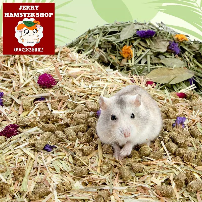 [Niteangel]Tổng hợp cảnh quan thiên nhiên cho hamster
