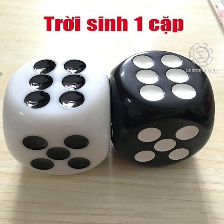 Bộ 2 xí ngầu size lớn 50mm trắng đen