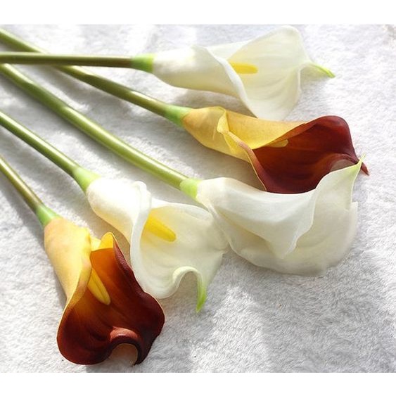 Ins 1 cành hoa calla lily, thủy vu, hoa rum phụ kiện chụp ảnh decor trang trí