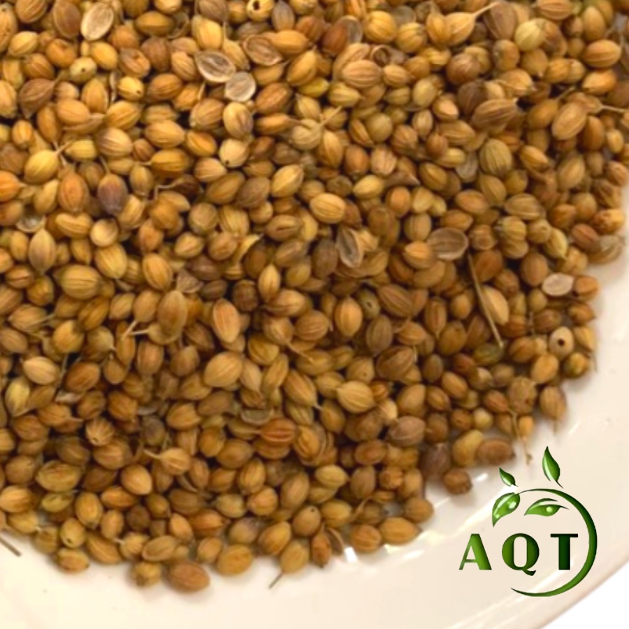 1KG Hạt Ngò Rí (Hạt Mùi Khô) Siêu Thơm, Đậm Mùi Hương. Hạt Ngò Gia Vị Nấu Phở, Nấu Sâm, Nấu Cà Ri Ấn Độ Thơm Ngon