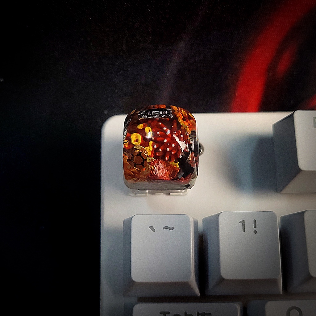 Keycap Coral - Nút cơ bàn phím - keycap xuyên sáng - keycap san hô