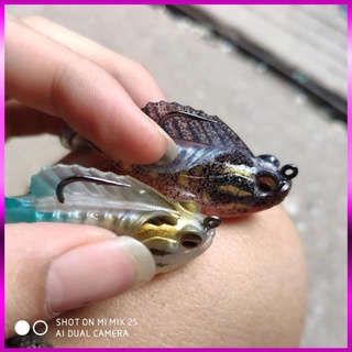 🐬 mồi cá mềm dấu lưỡi - cá thòi lòi 🐬