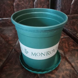 chậu trồng cây cao cấp MONROVIA