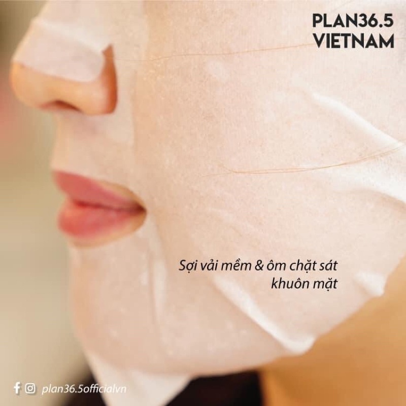 Set 5 mặt nạ mix đủ loại Plan 36.5 Cell Daily Mask Hàn Quốc