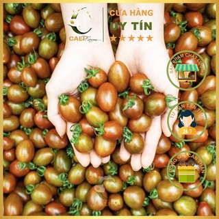 Hạt giống Cà Chua Bi Chocolate 3 hạt
