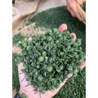 100g - 200g -300g nụ tam thất bao tử
