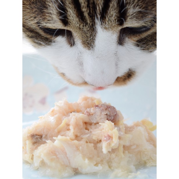 Pate cho mèo Inaba 60g, thức ăn ướt tăng cân cho mèo con lớn nhỏ Con Mèo Xiêm