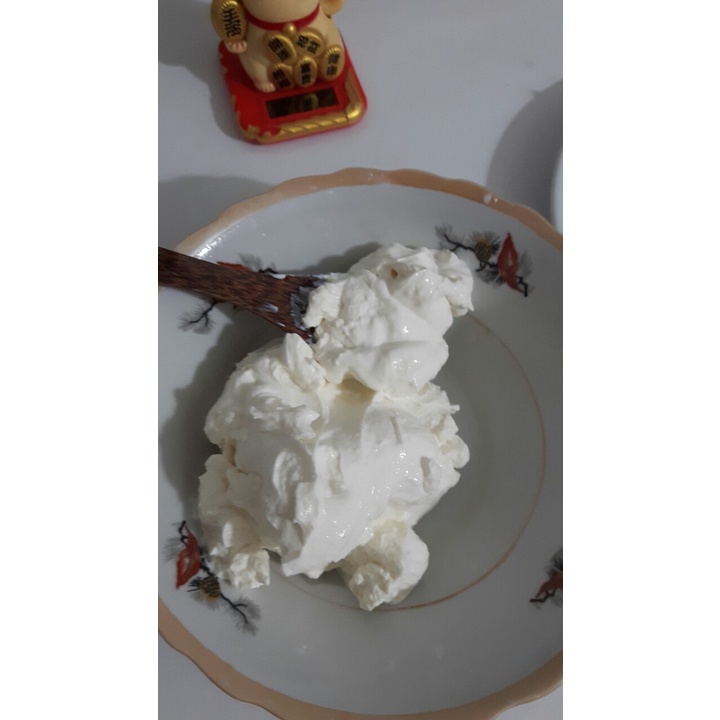 Cốc lọc sữa chua Hy Lạp bằng nấm kefir (có nắp)