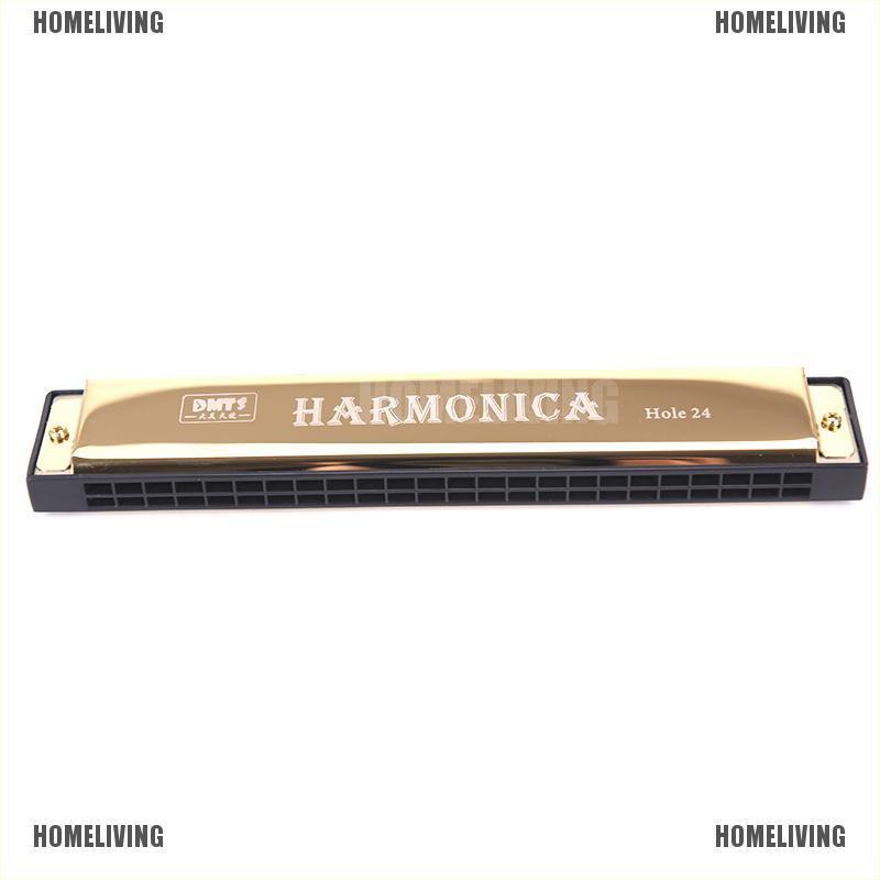 Kèn Harmonica Tremolo Hai Hàng 24 Lỗ Chuyên Dụng Chất Lượng Cao