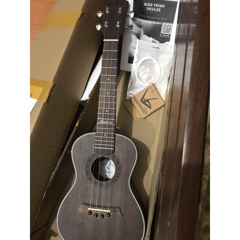 pass đàn Ukulele Andrew gắn EQ chính hãng