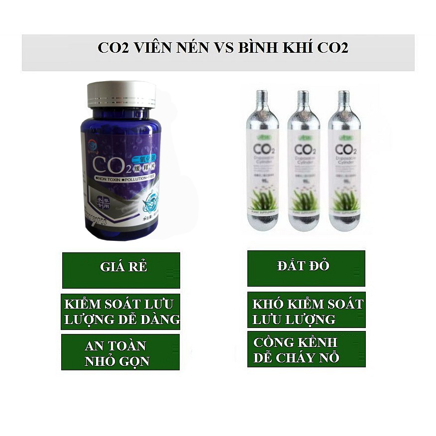 Viên Sủi CO2 60 viên
