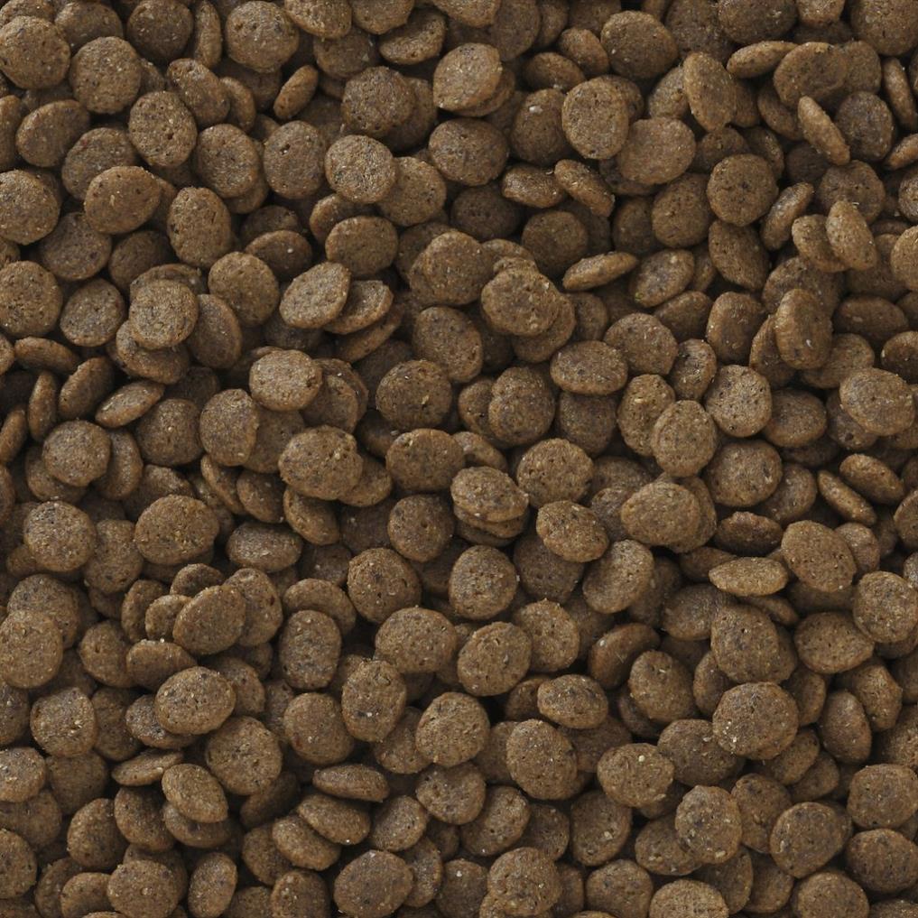 Thức Ăn Mèo Và Mèo Con Propac Deep Sea Select - Chính Hãng - Nhập Khẩu Mỹ