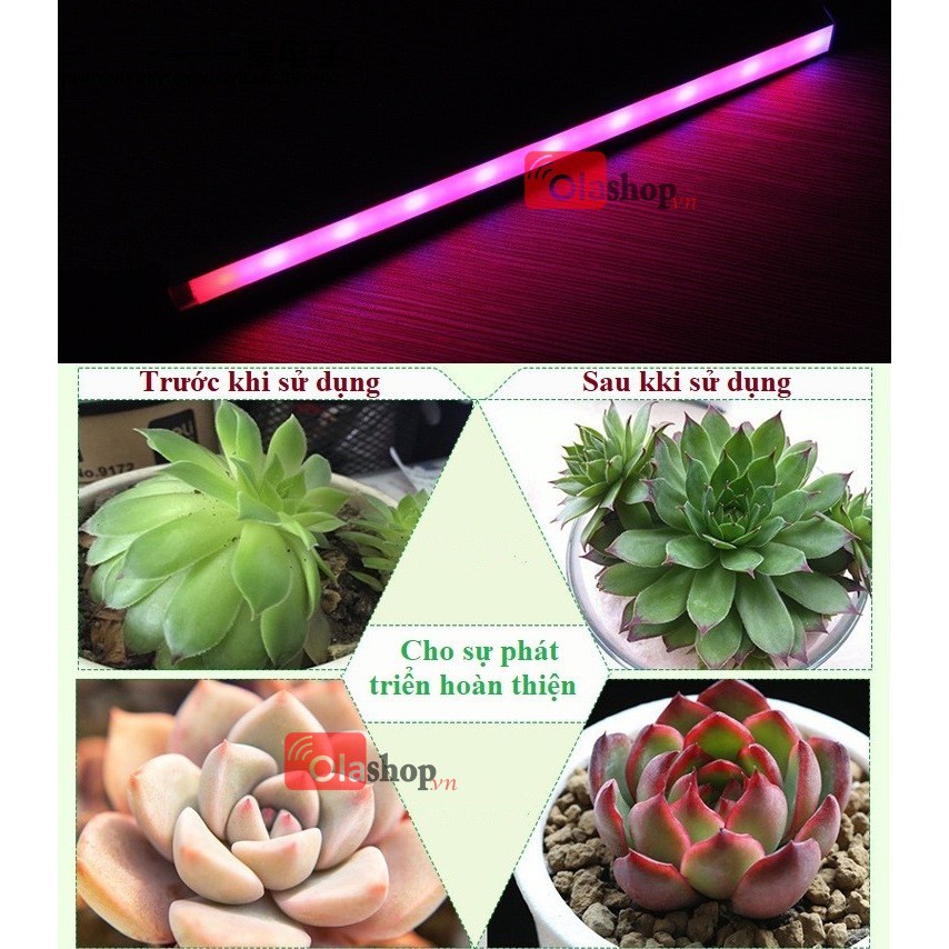Đèn led quang hợp trồng cây trong nhà cắm cổng usb
