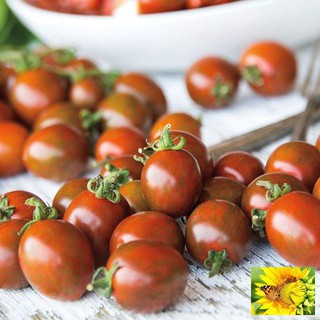 Gói 30 hạt giống cà chua socola