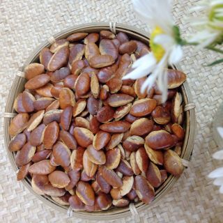 Hạt Kơ Nia đặc sản núi rừng tây nguyên