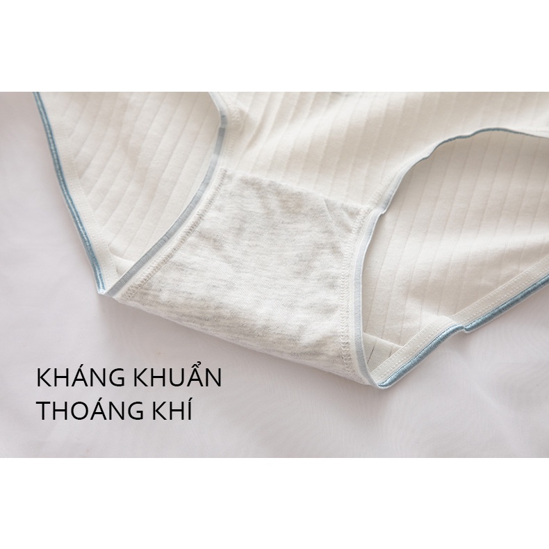 Set quần lót cotton kháng khuẩn tông màu xanh họa tiết cute