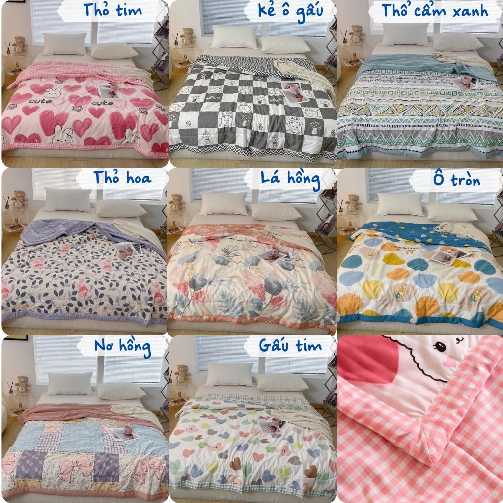 Chăn hè cotton đũi DREAMHOME trần bông sơ đậu nành mềm mại, thoáng mát không bị xô bông size 2mx2m2