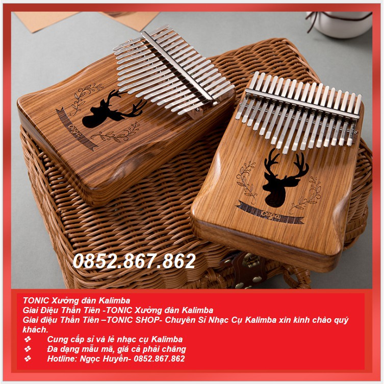 [CÓ SẴN] Bộ quà tặng đàn Kalimba gỗ mahogany 20 năm 17 phím Cega Cartoon TGH9852OKJ-0052