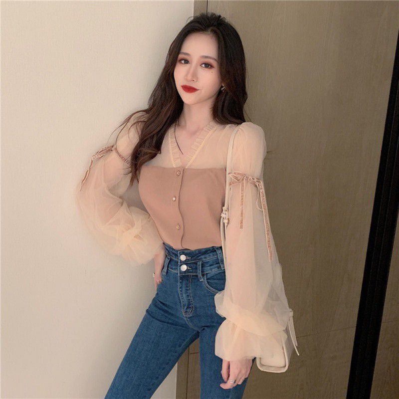 Women's Mesh Gauze Slim Puff Sleeve Long Sleeve Shirt | BigBuy360 - bigbuy360.vn