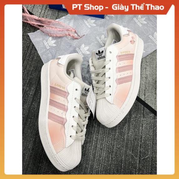 Giày thể thao sò 3 mầu hồng trắng sữa xanh cổ thấp full phụ kiện | Giầy Sneaker Sò Superstar