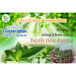 500Gr Cây Cỏ Ngọt Loại Cao Cấp