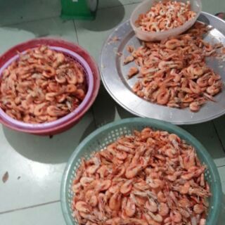 Nõn tôm khô nam định 500gr