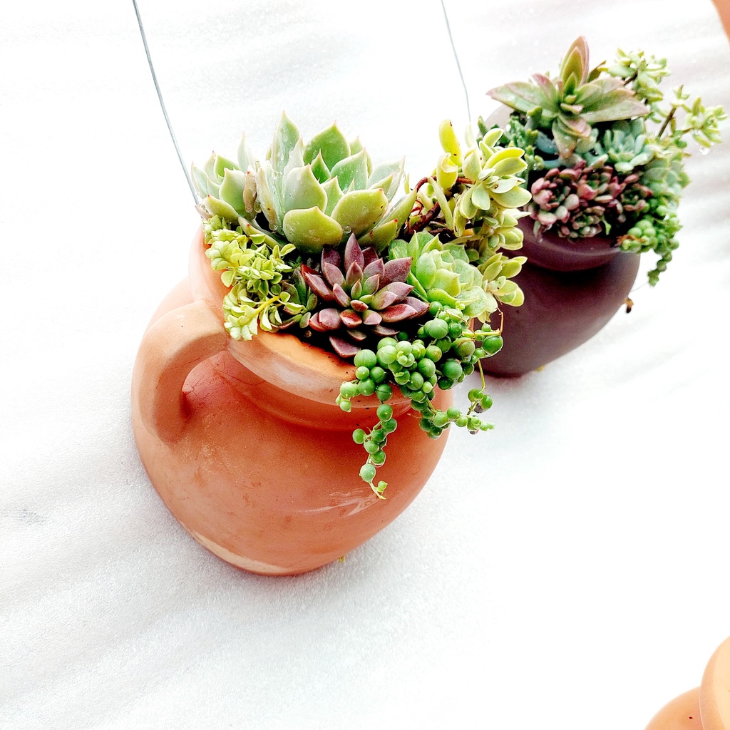 Chậu đất nung, Chậu sen đá - Ốp tường quai - miệng chậu 9cm, chiều cao 17cm
