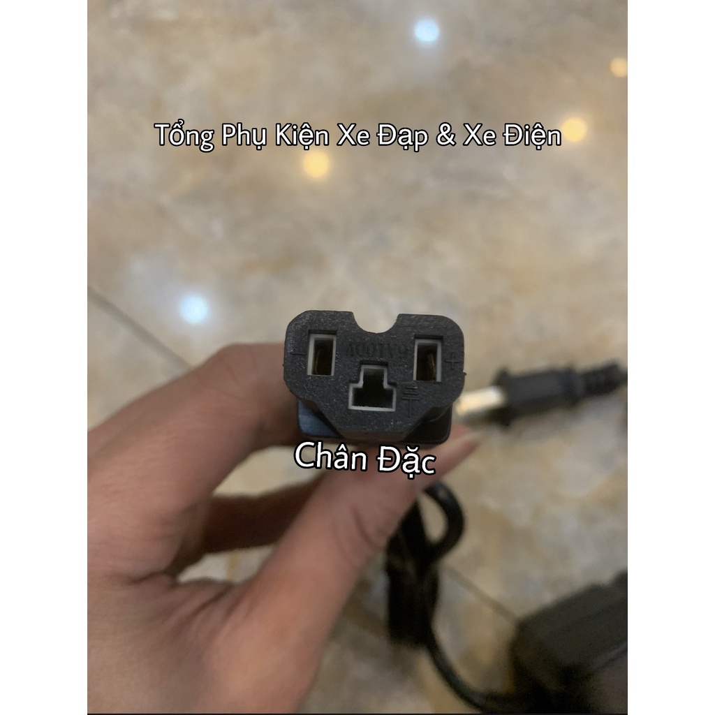 Sạc Xe Điện Các Loại Tự Ngắt Chính Hãng 100%
