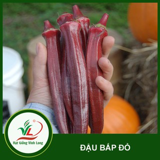 Hạt giống Đậu bắp đỏ RD 309 - 2g