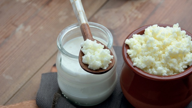 NGUYÊN HỘP 6 GÓI Men làm sữa chua Kefir - Nấm men kefir - Date 10/2024