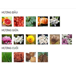 [BILL US] Gốc, chiết 10ml nước hoa Tory Burch