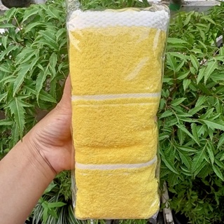 Khăn tắm cao cấp Dove, Clear, Sunsilk.