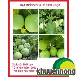 Gói 20 hạt giống dưa lê siêu ngọt