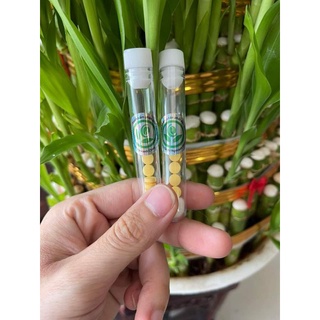 Kẹo vit.c siết eo - huỷ mỡ độc quyền