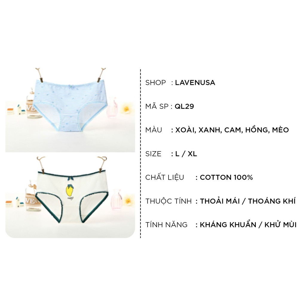 Quần lót nữ dễ thương cotton rẻ đẹp kháng khuẩn phong cách trẻ trung QL29 | BigBuy360 - bigbuy360.vn