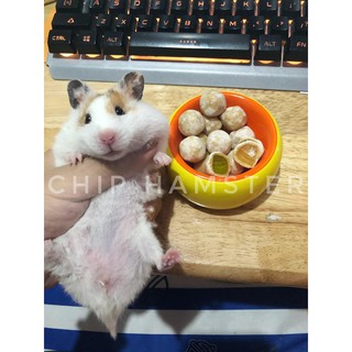 Kẹo Trái Cây [HAMSTER]
