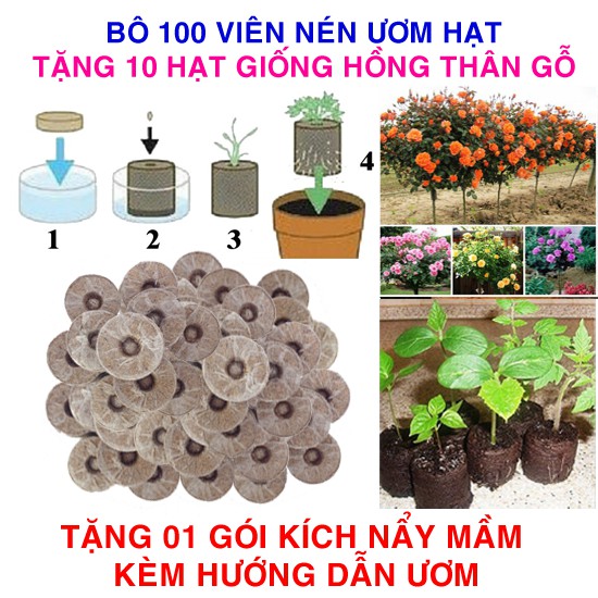 100 viên nén ươm hạt (tặng 10 Hạt giống Hoa hồng thân gỗ + Kích thích nẩy mầm, Hướng dẫn)