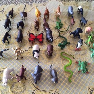 Bộ động vật Safari 36 con vật