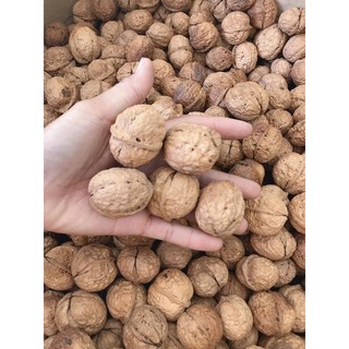 Hạt Óc Chó còn vỏ - gói 500gr