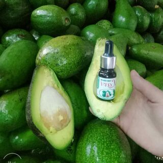 Tinh dầu bơ lavi