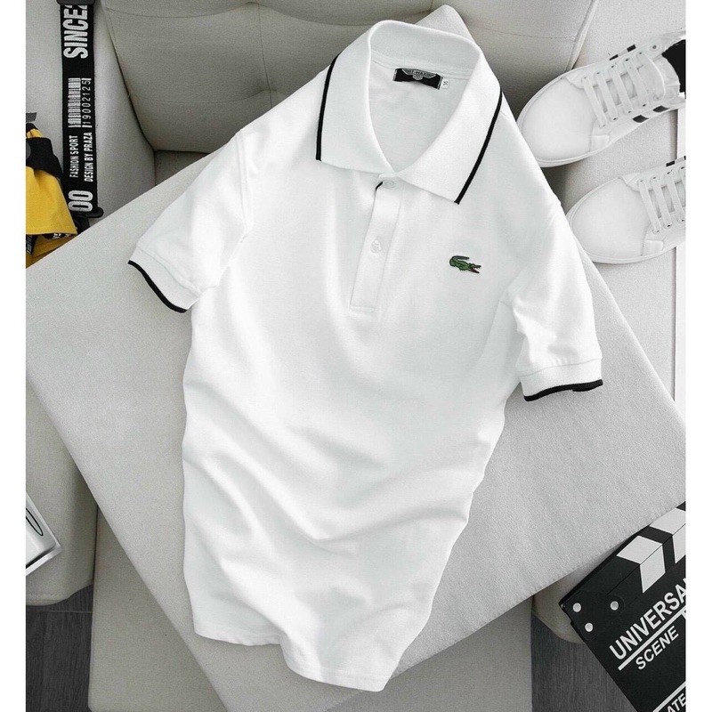 Áo polo nam thun Cá Sấu hai màu trắng đen vải 100% cotton siêu mềm | BigBuy360 - bigbuy360.vn