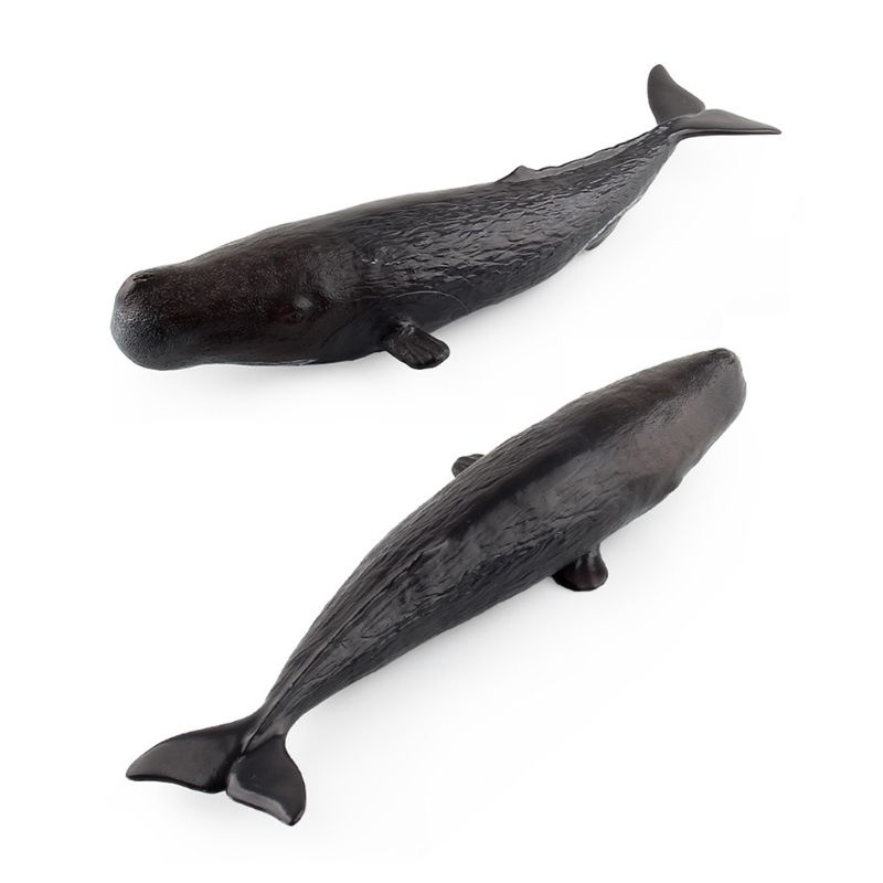 Mô Hình Cá Voi Đồ Chơi Cho Bé