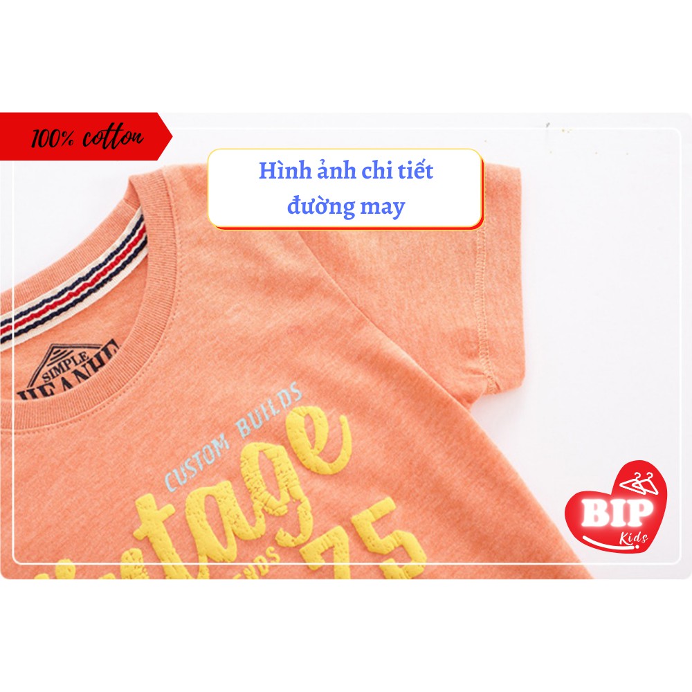 Áo Thun Trẻ Em Cho Bé Trai Cao Cấp Xuất Khẩu 11242