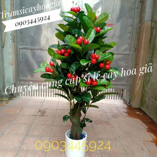 Cây Cherry giả cao 1m6 không kèm chậu - Cây Giả