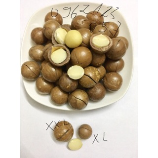 Hạt Macca Úc nứt vỏ sấy chín 1kg
