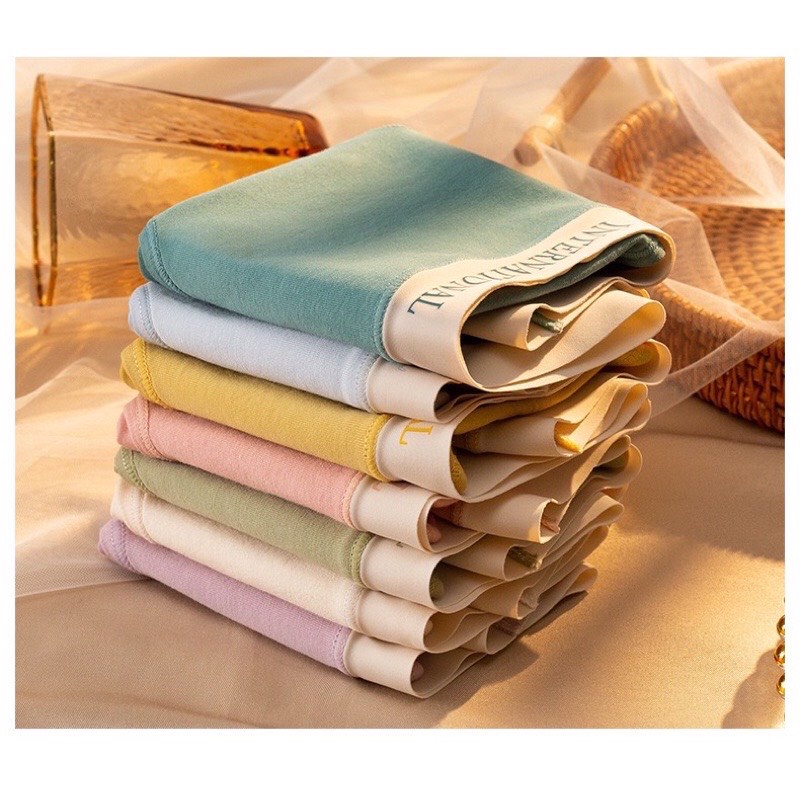 Quần Lót Nữ Cotton Cạp Su Chữ Kháng Khuẩn Cao Cấp 8858
