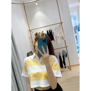 Áo polo Croptop sơ mi